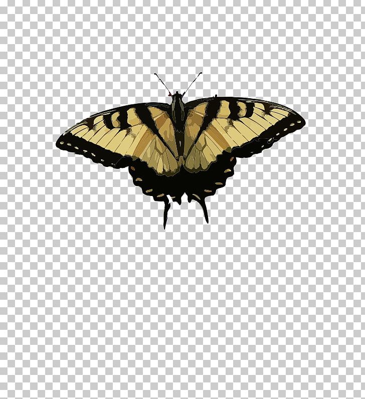 Butterfly Eastern Tiger Swallowtail Computer Icons Malabar Banded Peacock PNG, Clipart, Arthropod, Brush Footed Butterfly, Butterfly, Computer Icons, Download Free PNG Download