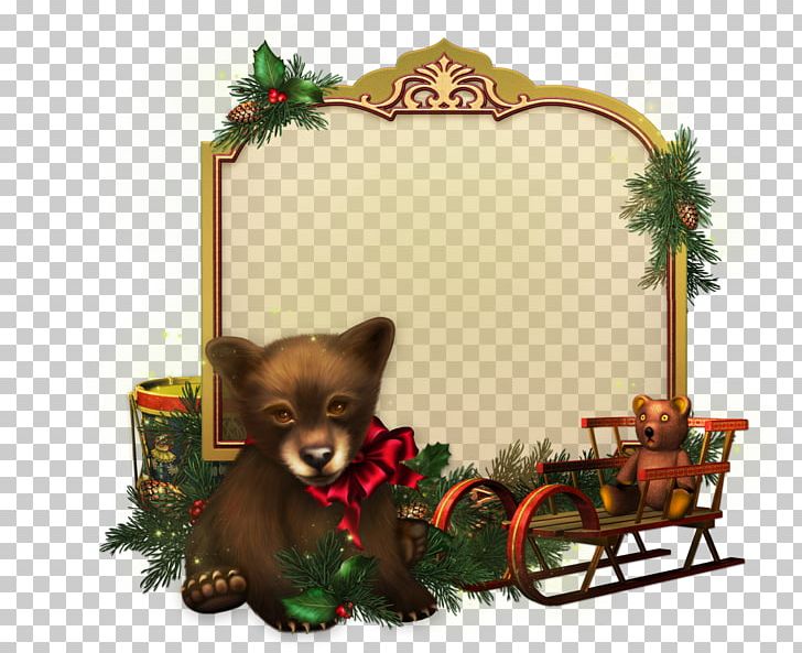 Christmas Ornament Pomeranian Christmas Decoration Christmas Eve PNG, Clipart, Carnivoran, Christmas, Christmas Decoration, Christmas Eve, Christmas Ornament Free PNG Download