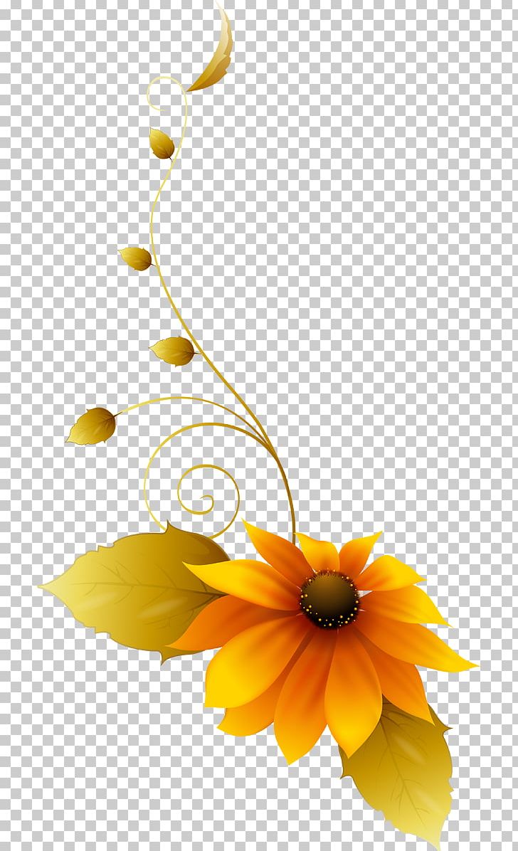 Common Sunflower Floral Design Still Life Photography Cut Flowers PNG, Clipart, Common Sunflower, Cut Flowers, Daisy, Daisy Family, Flora Free PNG Download