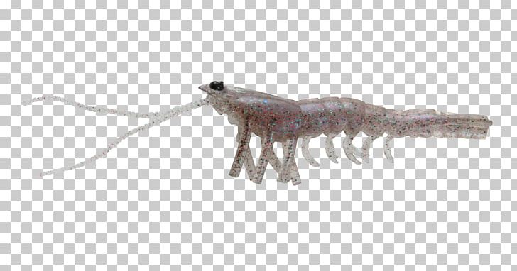 Fishing Baits & Lures 3D Computer Graphics Shrimp Eel PNG, Clipart, 3d Computer Graphics, 3d Scanner, Angling, Animal Figure, Business Free PNG Download