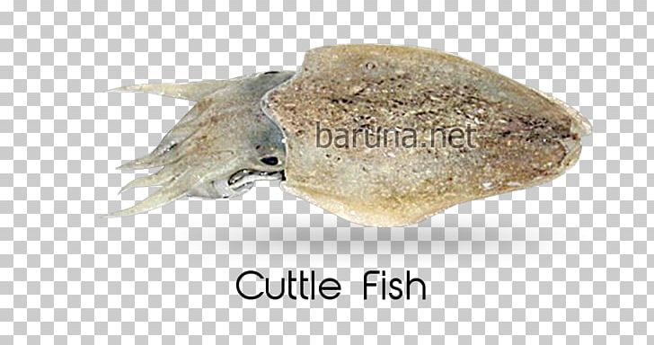 Indonesia Seafood PNG, Clipart, Blog, Document, Email, Fauna, Fish Processing Free PNG Download