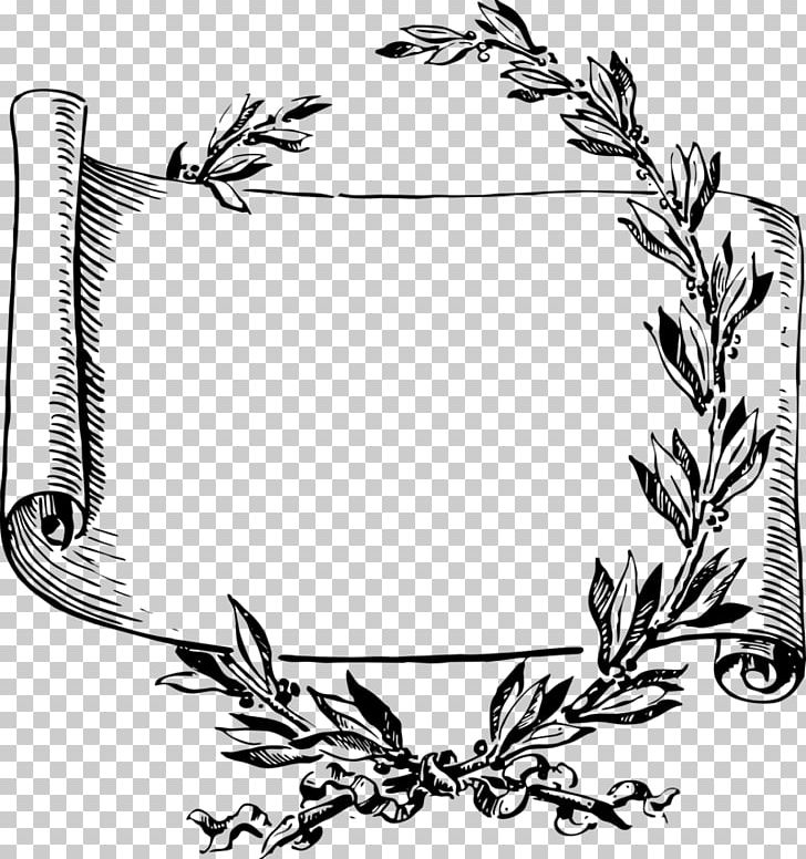Scroll PNG, Clipart, Artwork, Black And White, Branch, Download, Drawing Free PNG Download