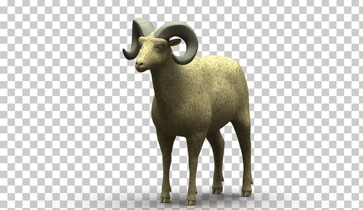 Argali Sheep Goat Wildlife Terrestrial Animal PNG, Clipart, 3 D Model, Animal, Animals, Argali, Bighorn Free PNG Download
