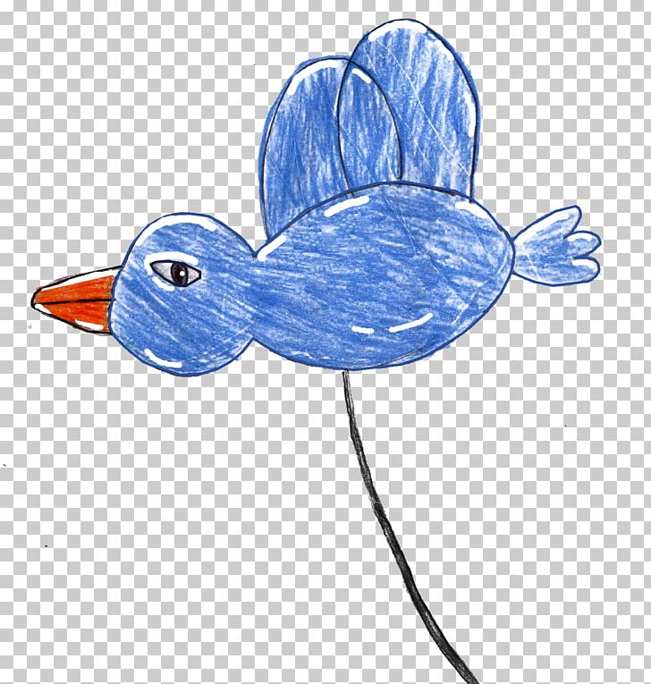 Drawing Illustration Cartoon Bird PNG, Clipart, Beak, Bird, Cartoon, Download, Drawing Free PNG Download
