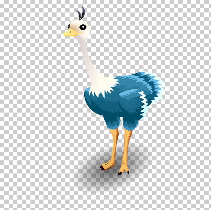 Common Ostrich Bird PNG, Clipart, Animals, Animation, Beak, Blue, Blue Abstract Free PNG Download