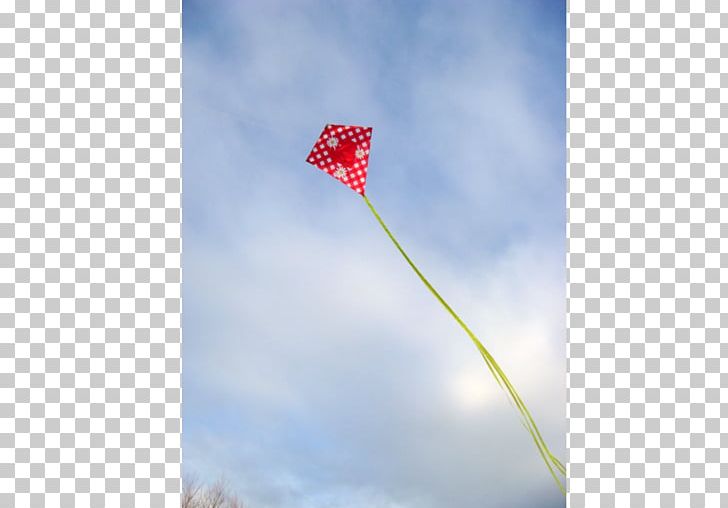 Flowering Plant Plant Stem Sky Plc PNG, Clipart, Flower, Flowering Plant, Kite, Kite Sports, Miscellaneous Free PNG Download