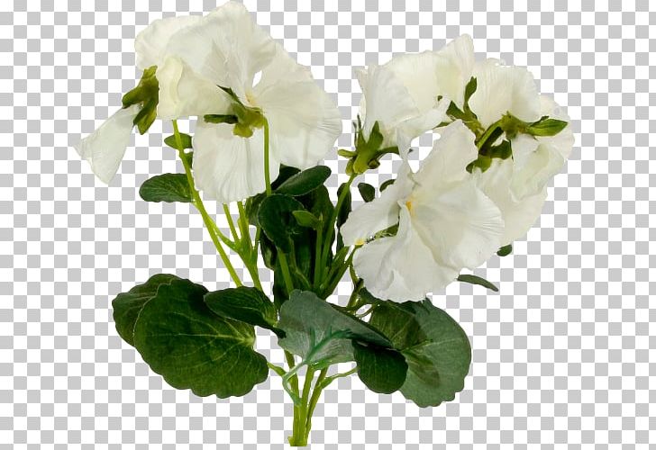 Pansy Dahlia Violet Cut Flowers PNG, Clipart, Annual Plant, Blog, Cut Flowers, Dahlia, Dalia Free PNG Download