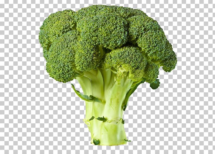 Broccoli Vegetable PNG, Clipart, Broccoflower, Broccoli, Brocolli, Brussels Sprout, Cabbage Free PNG Download