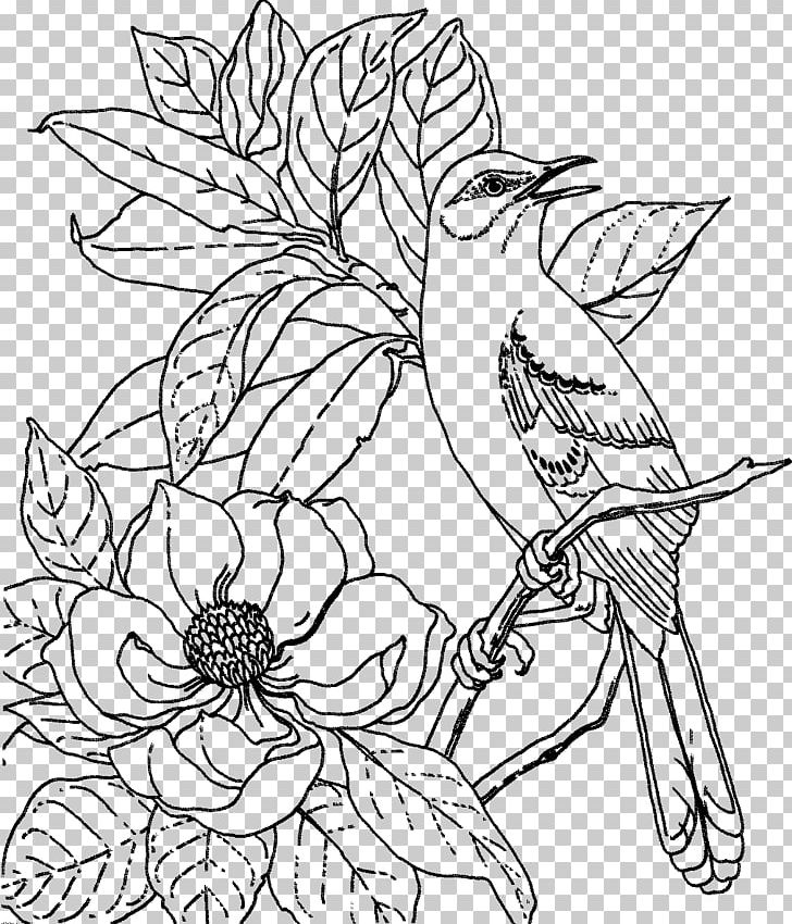 State Bird Coloring Book Bird Nest Adult PNG, Clipart, Adult, American Robin, Animals, Art, Artwork Free PNG Download