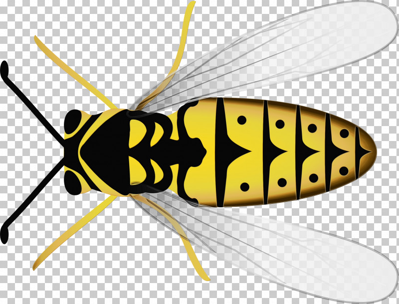 Fly Bees Pollinator Wasp Stx Eu.tm Energy Nr Dl PNG, Clipart, Bees, Fly, Paint, Pollinator, Stx Eutm Energy Nr Dl Free PNG Download