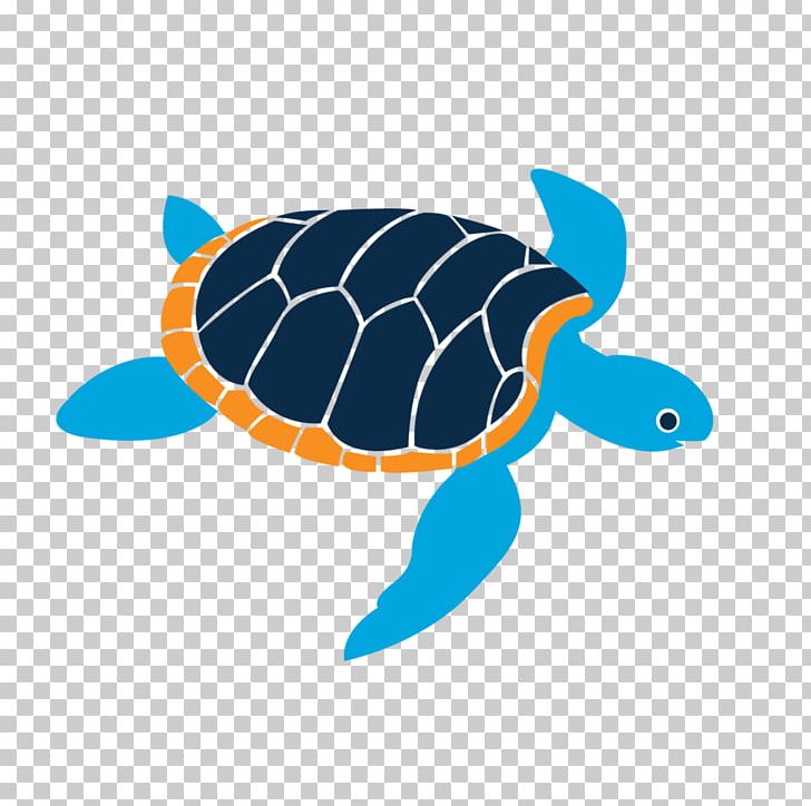 Island School Gift Card Student Loggerhead Sea Turtle PNG, Clipart, Cobalt Blue, Credit Card, Creek, Deep, Electric Blue Free PNG Download