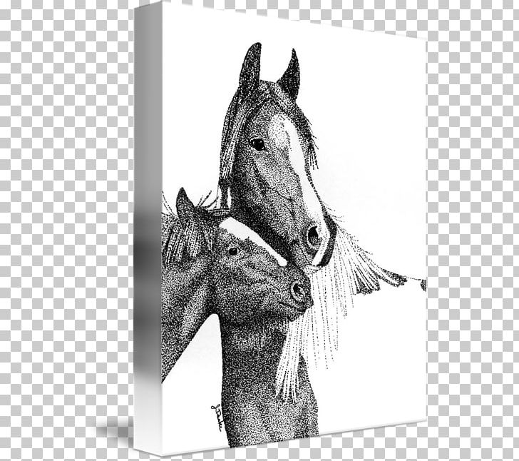 Mustang Stallion Halter Bridle PNG, Clipart, Art, Black And White, Bridle, Drawing, Gypsy Horse Free PNG Download