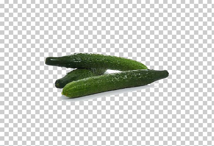 Pickled Cucumber Muskmelon PNG, Clipart, Cucumber, Cucumber Gourd And Melon Family, Cucumis, Euclidean Vector, Fresh Cucumber Free PNG Download