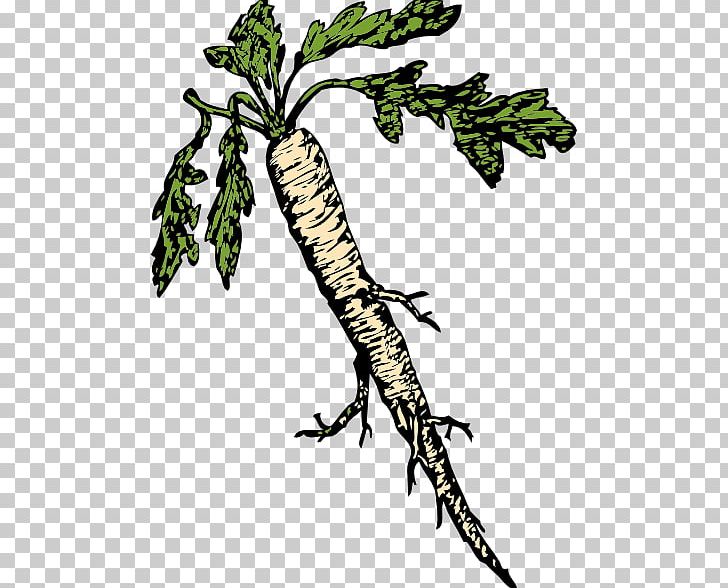 Purple Salsify Root PNG, Clipart, Art, Branch, Download, Fauna, Food Free PNG Download