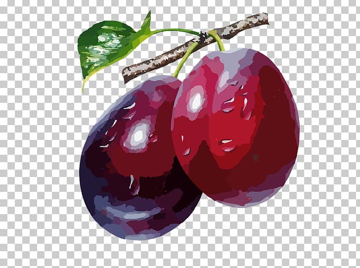 Plum PNG, Clipart, Apple, Cherry, Chia, Cleanfood, Clip Art Free PNG Download