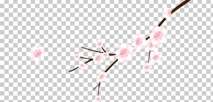 Cherry Blossom Cerasus Branch Flower PNG, Clipart, Blossom, Body Jewelry, Branch, Cerasus, Cherry Free PNG Download