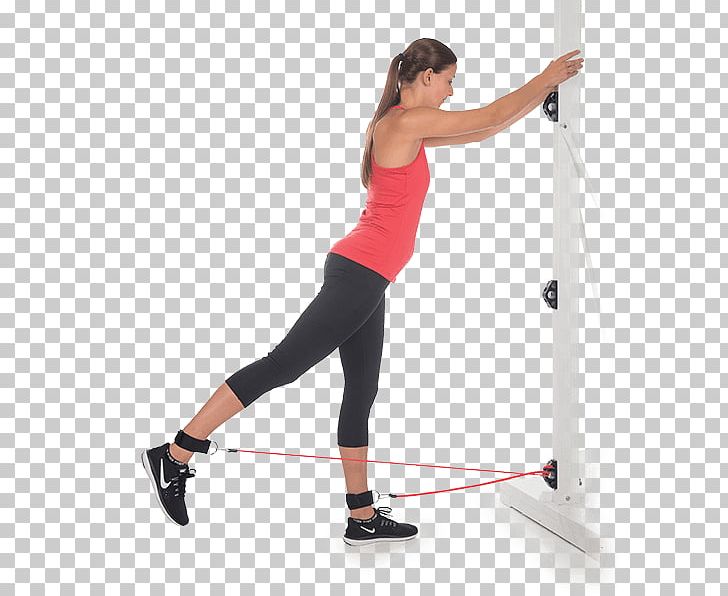 Physical Fitness Exercise Bands Strength Training Fitness Centre PNG, Clipart, Abdomen, Anchor, Arm, Balance, Exercise Free PNG Download