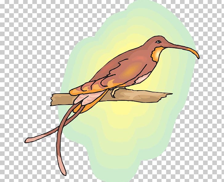 Bird Drawing PNG, Clipart, Animals, Beak, Bird, Computer Icons, Drawing Free PNG Download