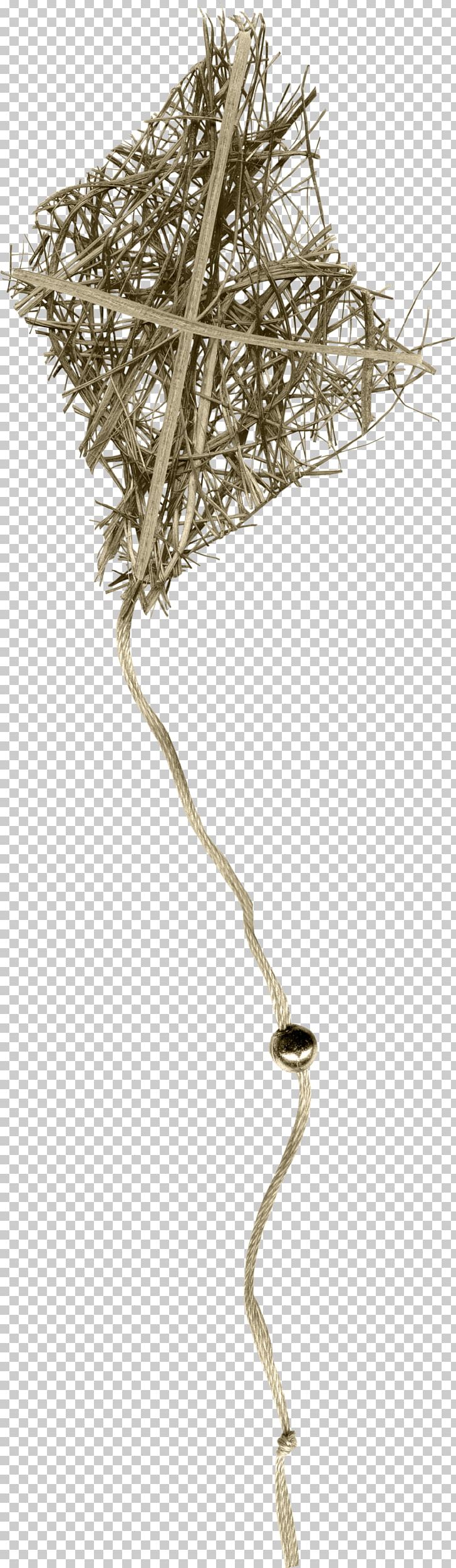 Tree Twig Plant Stem Branching PNG, Clipart, Branch, Branching, Foliage, Nature, Plant Free PNG Download