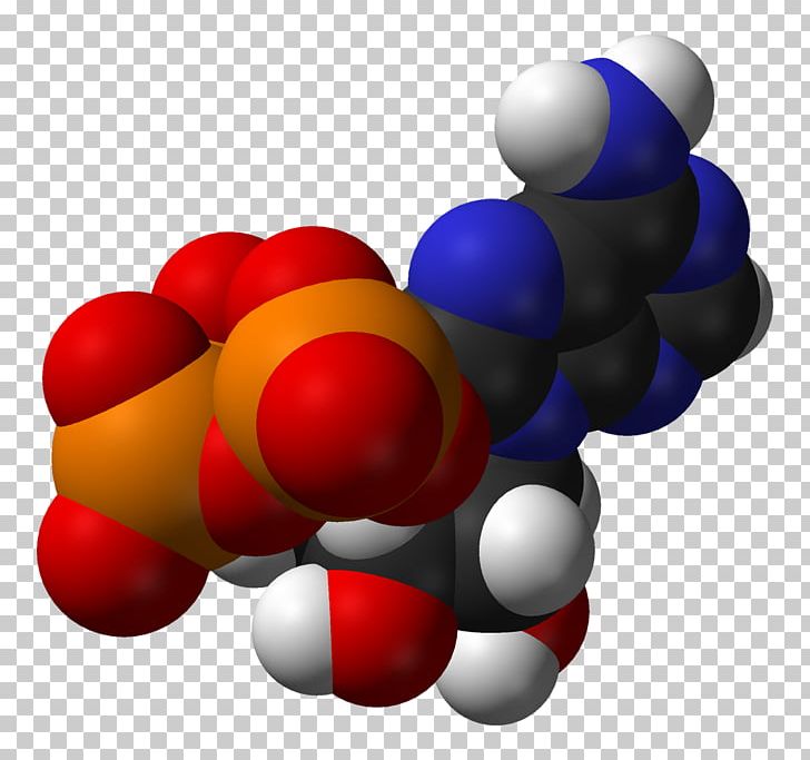 Adenosine Triphosphate Molecule Glycolysis Cell PNG, Clipart, Adenosine, Adenosine Triphosphate, Allosteric Regulation, Atom, Cell Free PNG Download