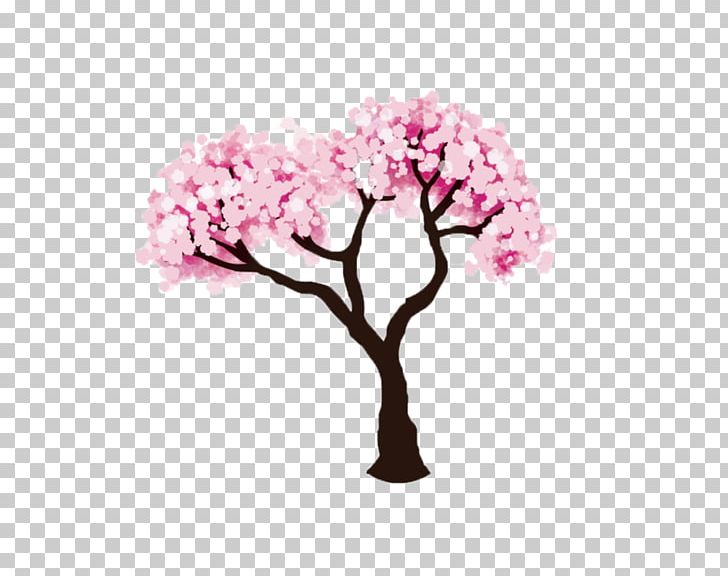 Cherry Blossom Drawing Fruit Tree PNG, Clipart, Blossom, Blossom Trees, Branch, Cherry, Cherry Blossom Free PNG Download