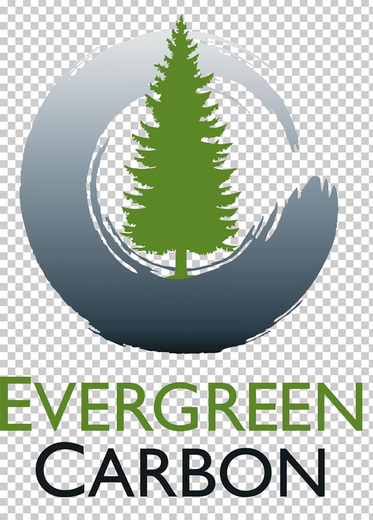 Energy Consulting Business Environmentally Friendly PNG, Clipart, Brand, Business, Carbon Accounting, Conifer, Energy Free PNG Download