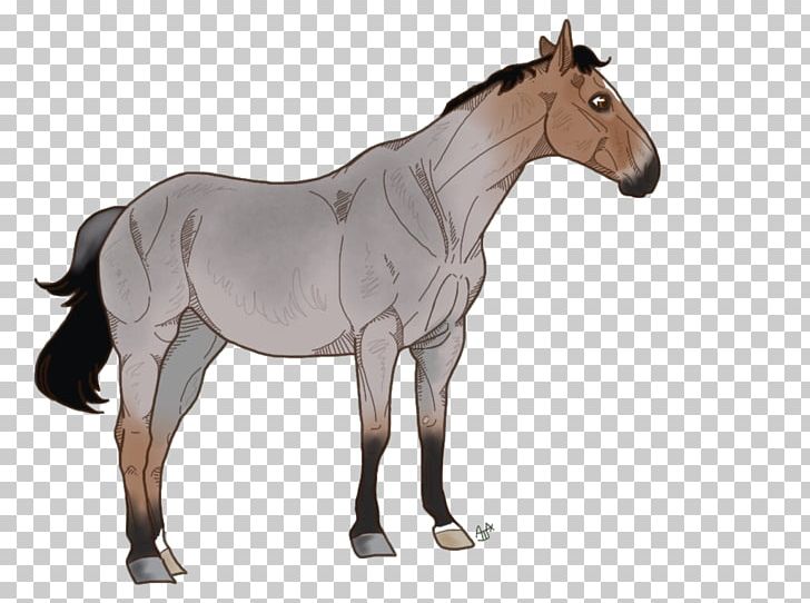 Mustang Foal Mare Pony Stallion PNG, Clipart, 9 August, Animal Figure, Bridle, Colt, Foal Free PNG Download