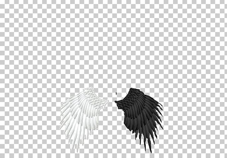 Wing Eren Yeager Feather Attack On Titan Skin PNG, Clipart, Attack On Titan, Beak, Bird, Bird Of Prey, Black And White Free PNG Download