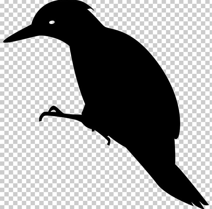 Woody Woodpecker PNG, Clipart, Beak, Bird, Black And White, Computer Icons, Download Free PNG Download