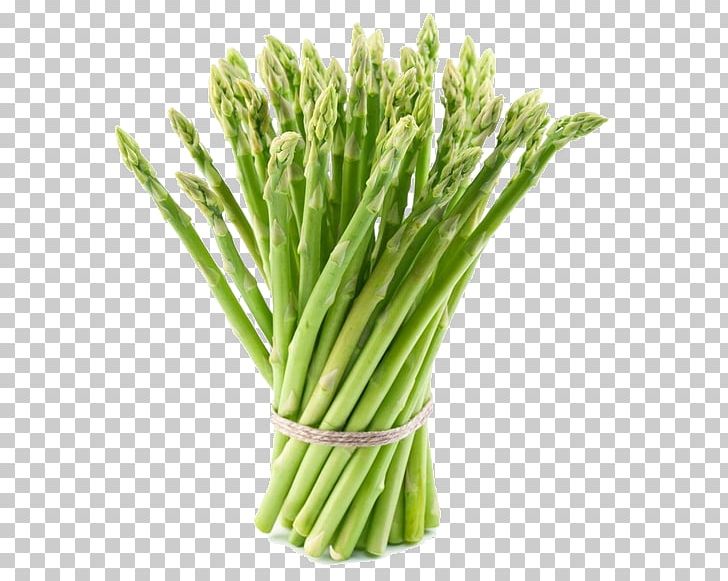 Asparagus Mary Washington Vegetarian Cuisine Vegetable Asparagus Roots PNG, Clipart, Asparagus, Commodity, Cooking, Fennel, Food Free PNG Download