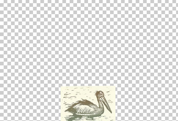 Goose Water Bird Cygnini Anatidae PNG, Clipart, Anatidae, Artist, Beak, Beige, Bird Free PNG Download