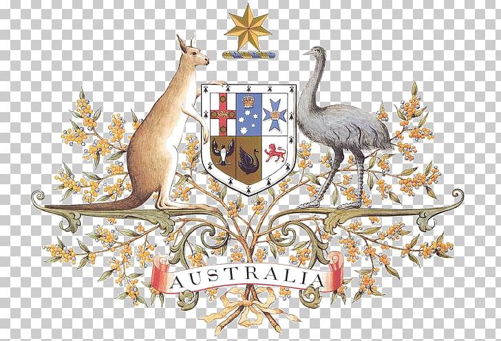 Coat Of Arms Of Australia National Symbols Of Australia Floral Emblem PNG, Clipart, Acacia Pycnantha, Australia, Coat Of Arms, Coat Of Arms Of Australia, Coat Of Arms Of New South Wales Free PNG Download