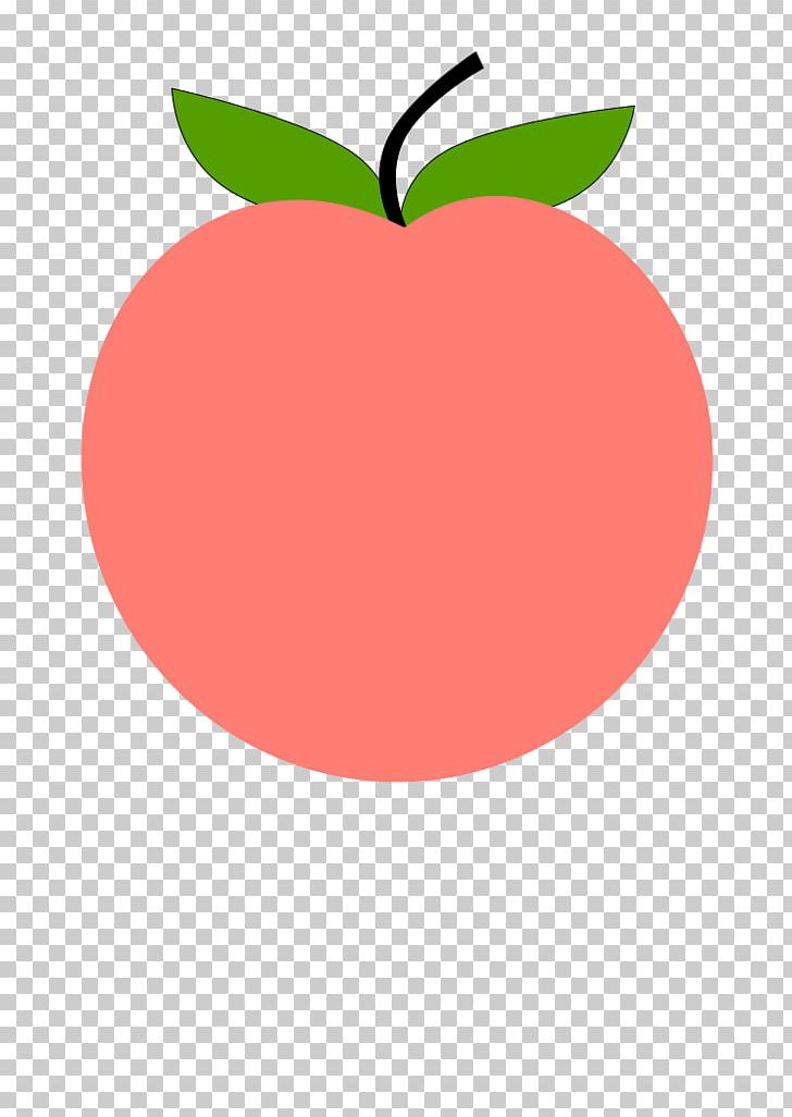 Peach Fruit PNG, Clipart, Apple, Computer Icons, Drawing, Food, Fruit Free PNG Download