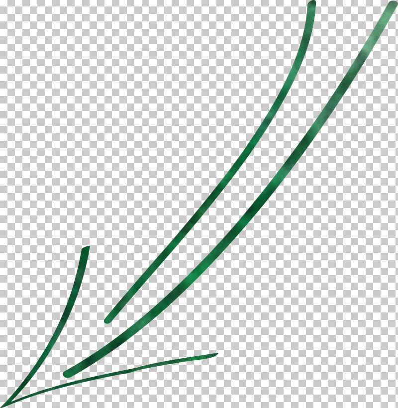 Hand Drawn Arrow PNG, Clipart, Green, Hand Drawn Arrow, Line, Plant Free PNG Download