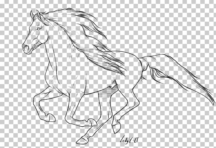 Arabian Horse American Quarter Horse Mane Mustang Pony PNG, Clipart, American Quarter Horse, Animal, Animal Figure, Arabian Horse, Arm Free PNG Download