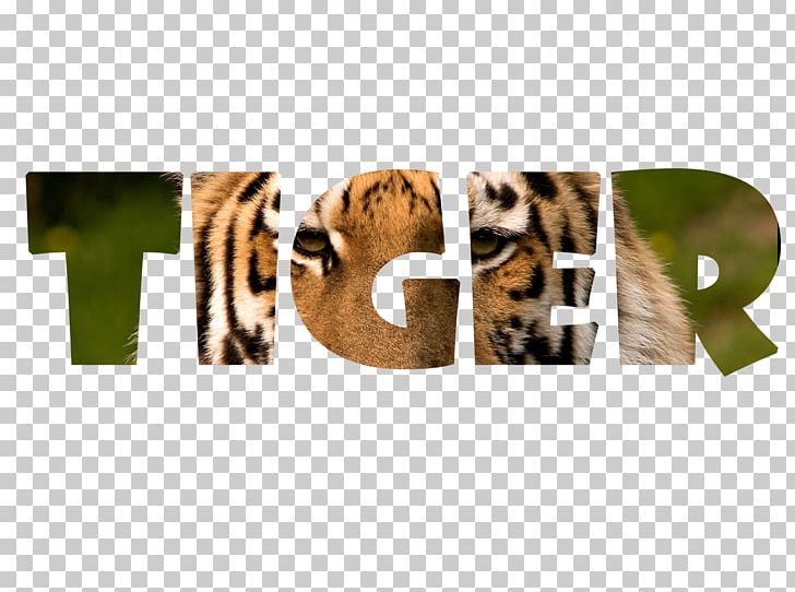 Bengal Tiger Word Jaguar Text Tigerfell PNG, Clipart, Bengal Tiger, Brand, Carnivora, Carnivoran, Jaguar Free PNG Download