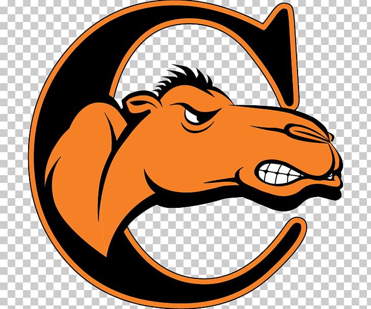 Campbell University Campbell Fighting Camels Men's Basketball Campbell Fighting Camels Women's Basketball Campbell Fighting Camels Football Division I (NCAA) PNG, Clipart, Area, Artwork, Basketball, Big South Conference, Buies Creek Free PNG Download