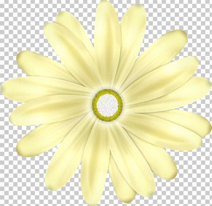 Flower PNG, Clipart, Chrysanthemum, Chrysanths, Daisy, Daisy Family, Flower Free PNG Download