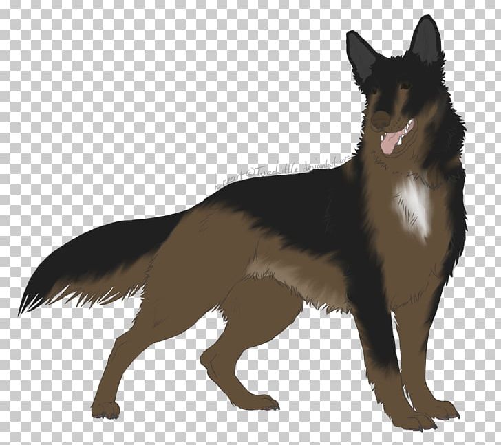 German Shepherd Tervuren White Shepherd Kunming Wolfdog Australian Kelpie PNG, Clipart, Animal, Animals, Breed, Canidae, Carnivoran Free PNG Download