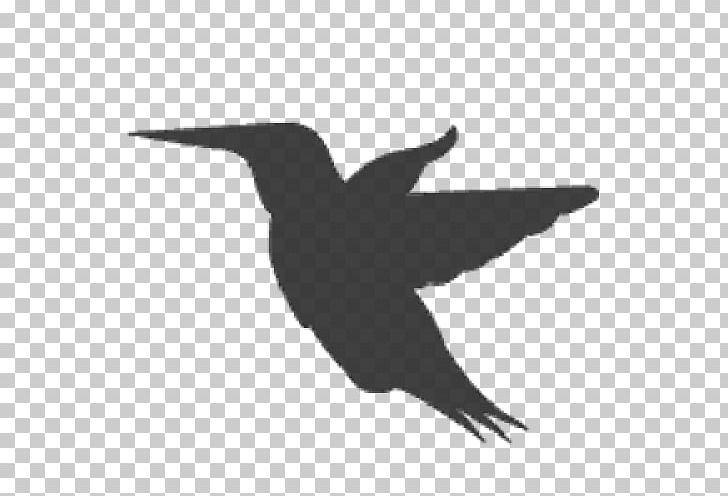 Hummingbird Beak Animal Labrador Retriever PNG, Clipart, Anatidae, Animal, Animals, Beak, Bird Free PNG Download