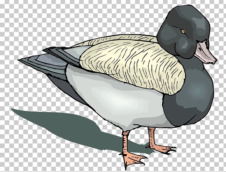 Mallard Goose Duck Game PNG, Clipart, Animals, Beak, Bird, Download, Duck Free PNG Download