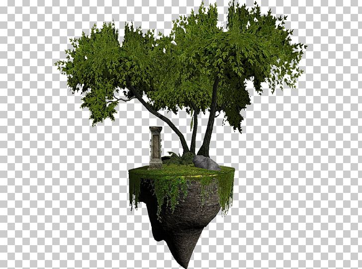 Minecraft Video Game Island PNG, Clipart, Branch, Evergreen, Flowerpot, Game, Gaming Free PNG Download