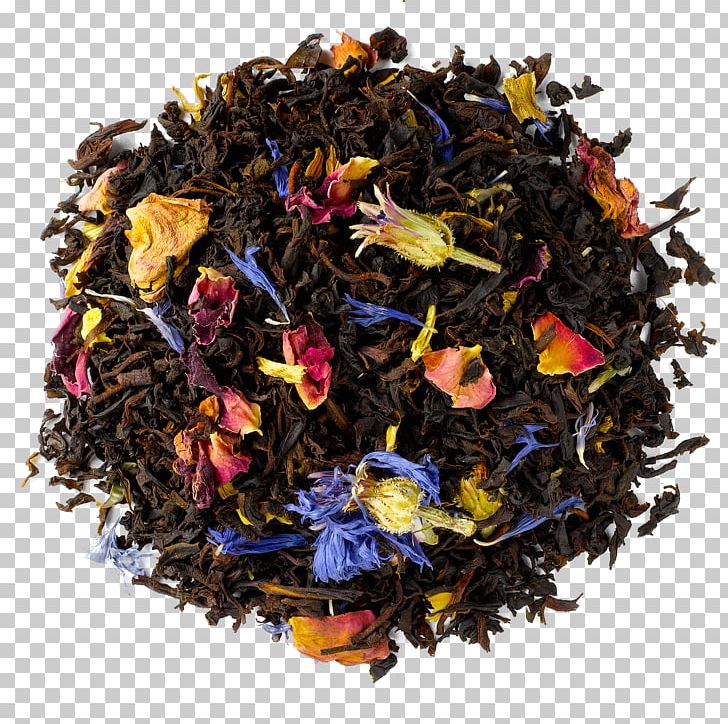 Nilgiri Tea Oolong Tea Plant Superfood PNG, Clipart, Assam Tea, Ceylon Tea, Da Hong Pao, Dianhong, Earl Grey Tea Free PNG Download