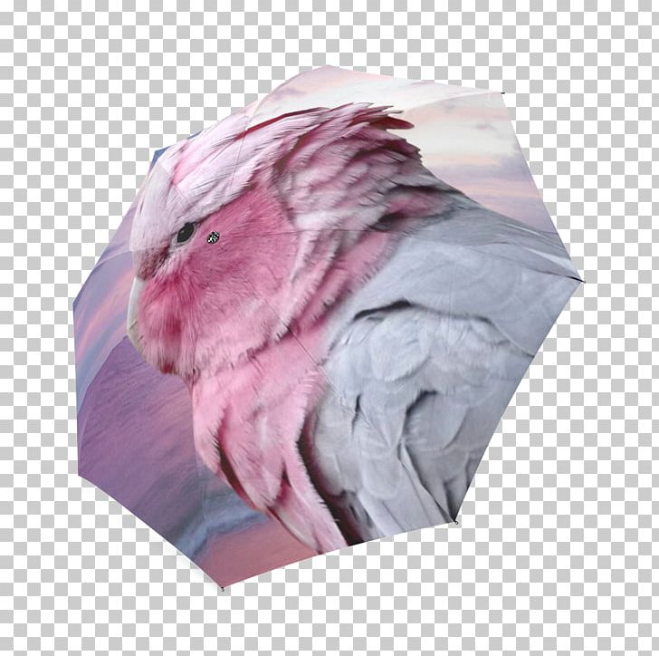 IPhone 6 Galah Cockatoo Umbrella Pink M PNG, Clipart, Cacatua, Cockatoo, Duvet, Galah, Gum Trees Free PNG Download