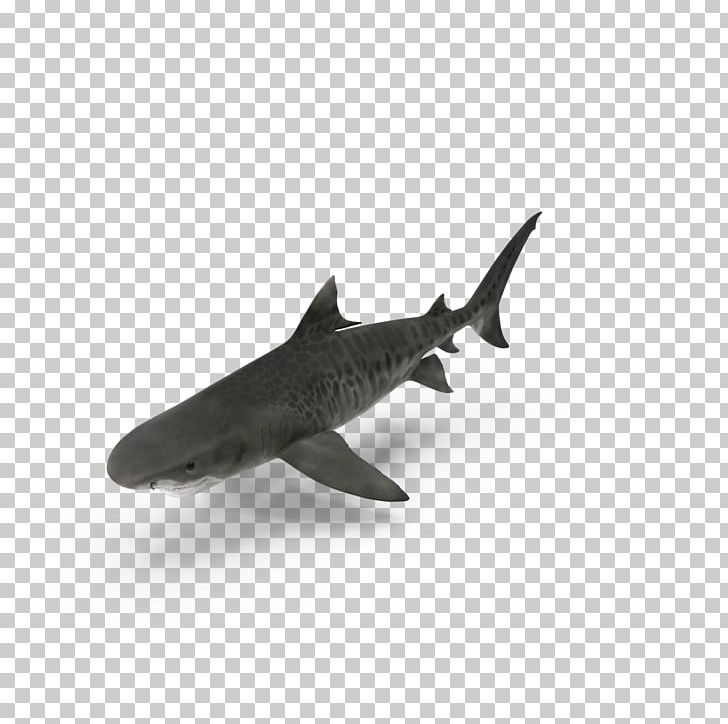 Shark Predator Benthic Zone Predation PNG, Clipart, Animal, Big Shark, Cartoon Shark, Download, Encapsulated Postscript Free PNG Download