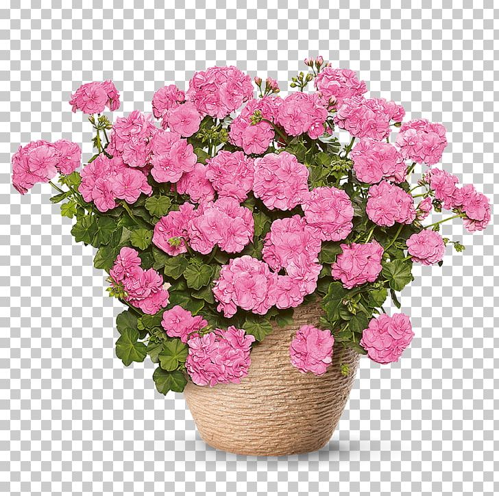 Simply Pink Plant Azalea Flower Floristry PNG, Clipart, Annual Plant, Artificial Flower, Begonia, Bellflowers, Color Free PNG Download