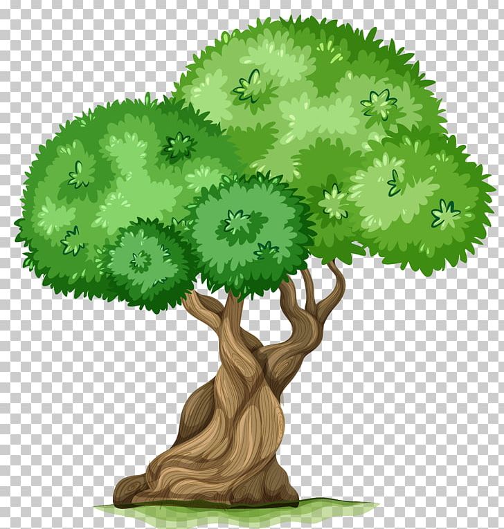 Tree PNG, Clipart, Arecaceae, Drawing, Flowerpot, Free Content, Grass Free PNG Download
