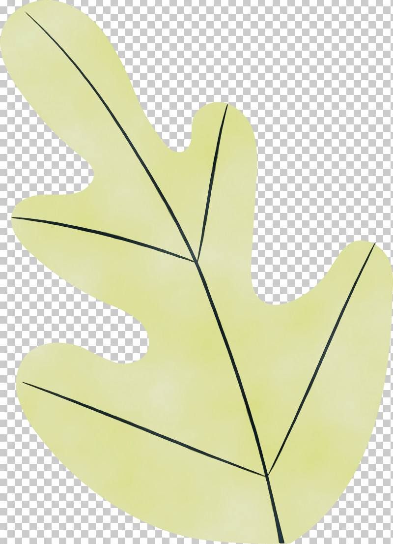 Leaf M-tree Tree Plant Structure Science PNG, Clipart, Biology, Leaf, Mtree, Paint, Plants Free PNG Download