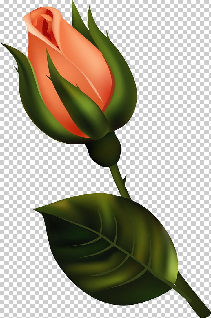 Bud Flower PNG, Clipart, Art, Bud, Computer Icons, Cut Flowers, Flower Free PNG Download
