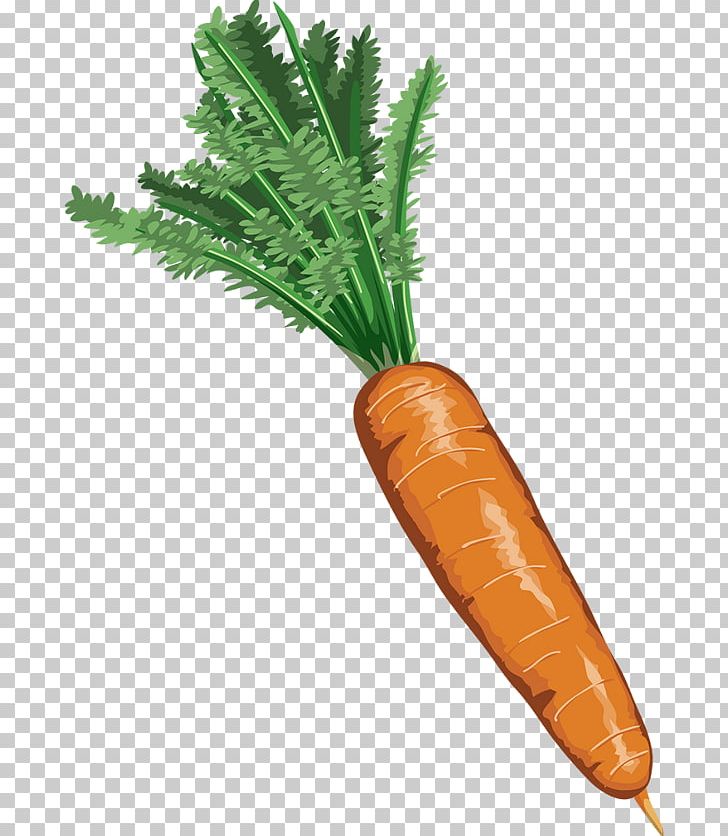 Carrot Vegetable Drawing PNG, Clipart, Animated Cartoon, Birthday Cake, Cake, Candy, Carrot Free PNG Download